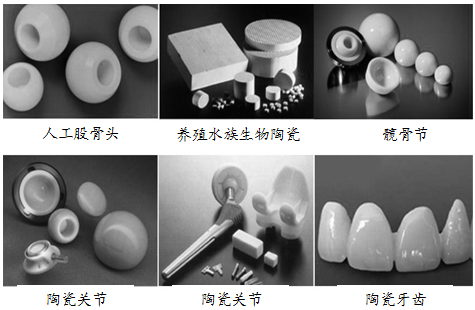 正在進入我們身體的生物陶瓷 特種建材的醫(yī)學(xué)新篇章
